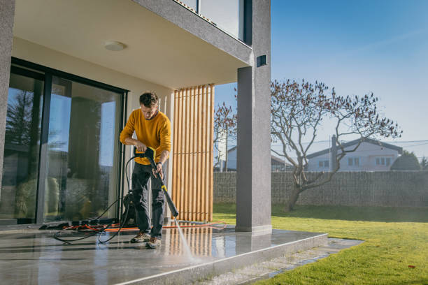 Best Roof Washing  in Bement, IL