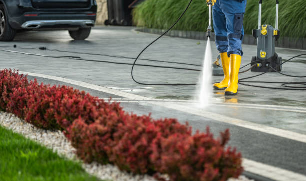 Best Dumpster Area Cleaning  in Bement, IL